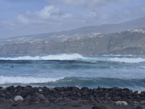 Tenerife: Even spiders need a break