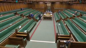 Democracy’s a Drag Show, and We’re All Clapping Seals